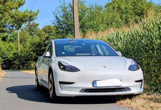 Tesla RWD 60 kWh Trekhaak Autopilot Fabrieksgarantie