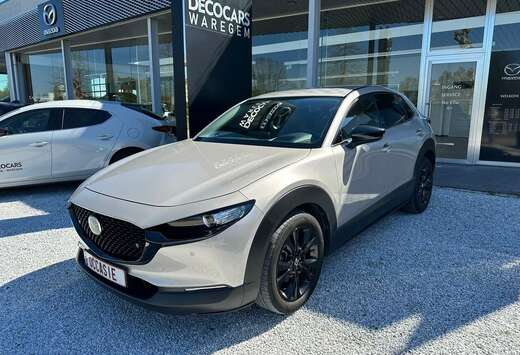 Mazda 2.5L e-Skyactiv G 140 hp 6AT Nagisa