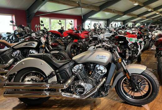 1200cc Silver Quartz Metallic