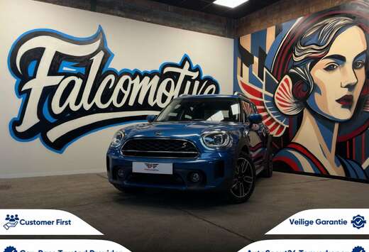 MINI SE*PHEV*ALL4*FACELIFT*NAVI*PDC*LED*