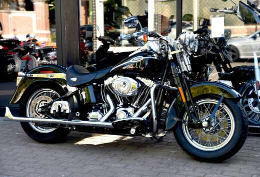 ***MOTO VERTE***
