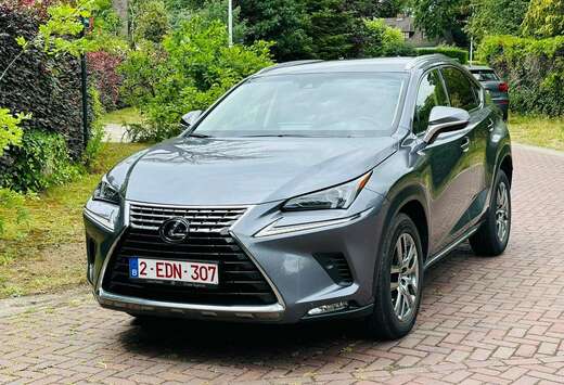 Lexus NX 300h Executive Line