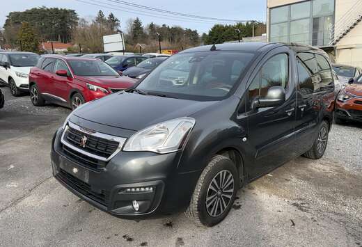 Peugeot Tepee 1.6i Active