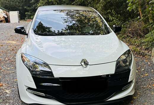 Renault Mégane III Coupé 2.0 16V 265 RS