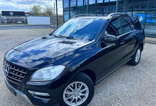 Mercedes-Benz Mercedes Ml 250 LICHTE VRACHT  EURO6