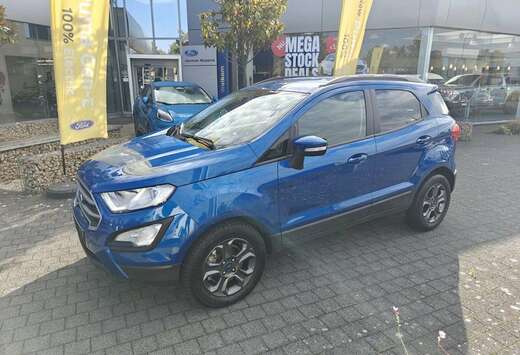 Ford EcoBoost Business Class