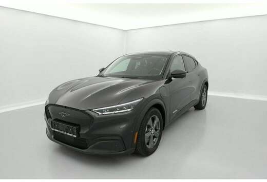 Ford 99 kWh RWD Extended Range