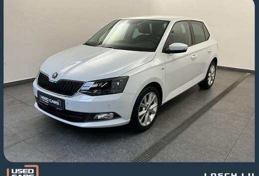 Skoda Ambition/Navi/Clever