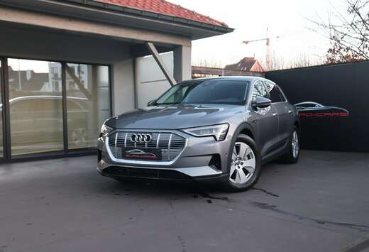 Audi 71 kWh 50 Quattro /1 ste eig /leder/360/MEMORY