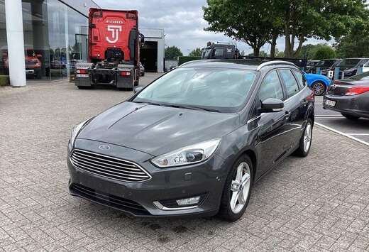 Ford Enkel voor professionele verkoop.