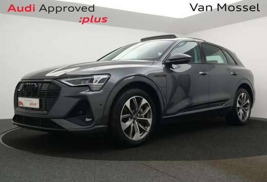 Audi Audi e-tron S-line 55 QUATTRO 408PK *PANODAK*TRE ...