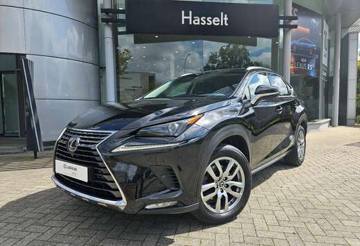 Lexus NX 300h 2.5i AWD Executive Line E-CVT (EU6.2)