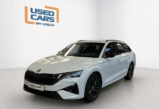 Skoda RS+DSG+360+AHK+Stand-H.