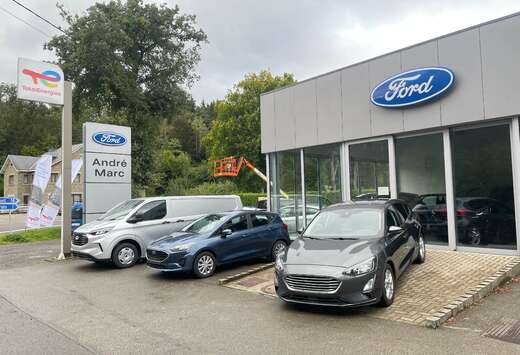 Ford 1.0 EcoBoost titanium business