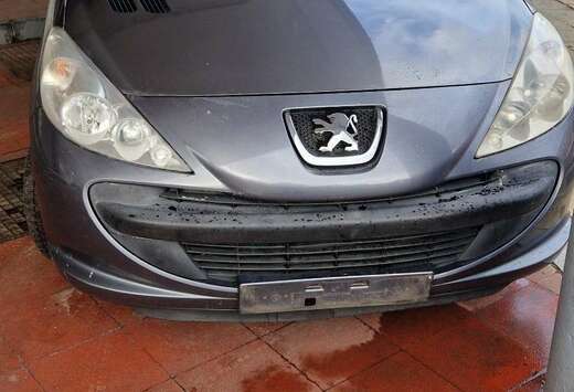 Peugeot 206+ 60