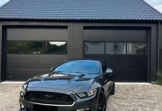 Ford Cabrio 5.0 Ti-VCT V8 Aut. GT