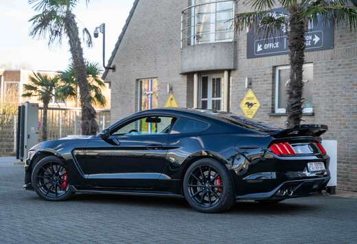 Shelby GT350