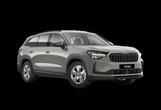 Skoda Sélection Sur commande : aux meilleurs conditi ...