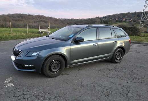 Skoda SW CNG 1.4 TSI Ambition