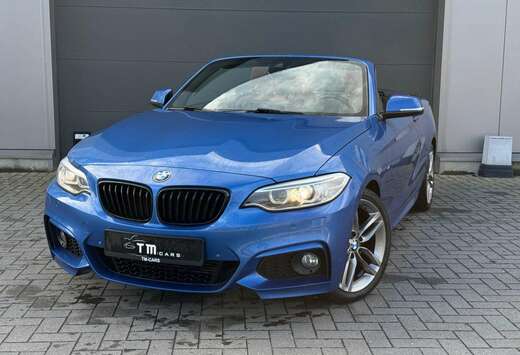 BMW M-PAKKET/LED/NAVI/ZETELVERWARMING