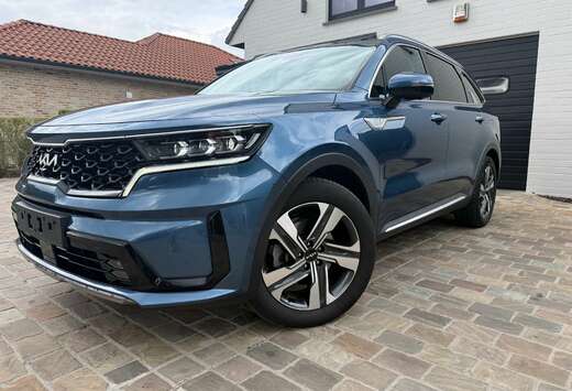 Kia HEV 1.6 TGI AWD Pace 7pl. (169kW)