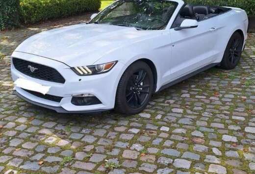 Ford Cabrio 2.3 Eco Boost