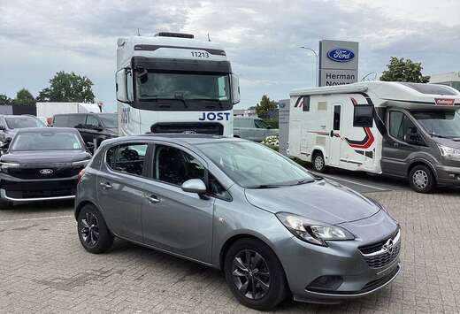 Opel Enkel voor professionele verkoop.