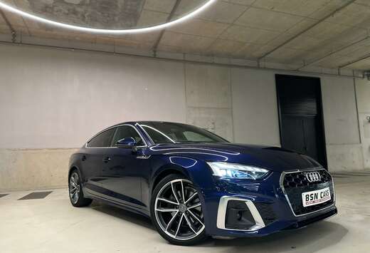 Audi 40TFSI/3x S-LINE/CAMERA/HEADUP/MATRIX/ACC/LANE/1 ...