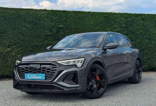 Audi 2x S-line- sportstuur-  B&O -106 kWh