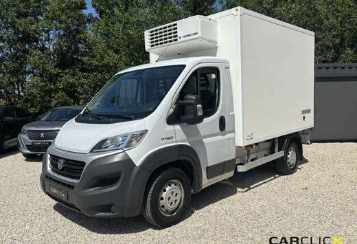 Fiat Koelwagen*Frigo*Thermo King*Camion Frigorifique*