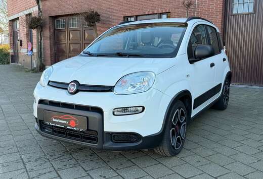 Fiat Panda 1.0i MHEV City Life 5pl.