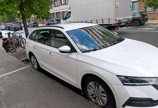 Skoda 2.0l TDi Ambition DSG (EU6.2)