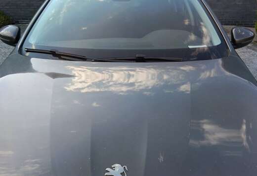 Peugeot SW 1.6 e-HDi 115ch FAP BVM6 Business