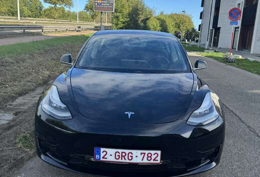 Tesla Standard Reichweite Plus Hinterradantrieb