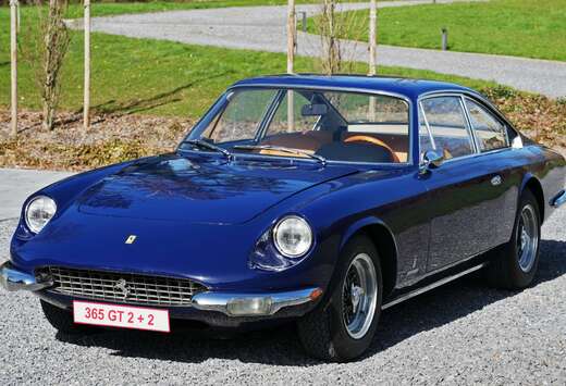 Ferrari 365 GT 2+2 Coupé Certificat Classique Ferrar ...