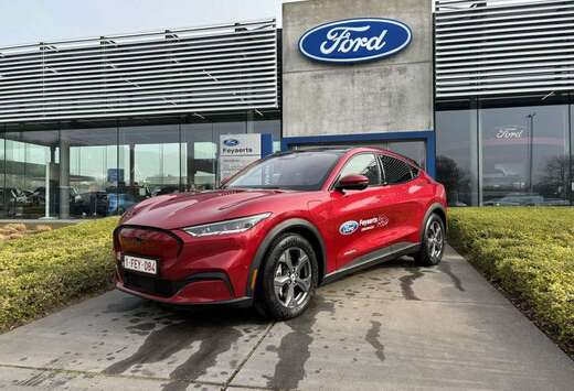 Ford 91 kWh Premium RWD / DEMOWAGEN