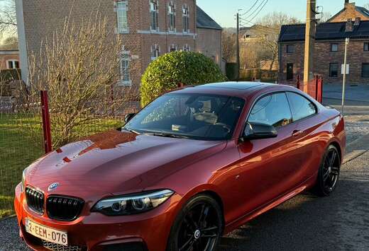 BMW Bmw 218i B48