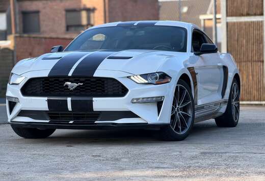 Ford Mustang 2.3 Eco Boost Automaat-58000km-2019