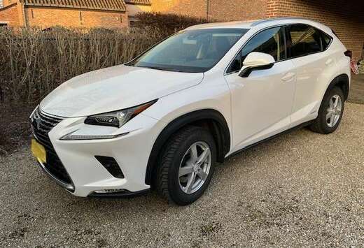 Lexus NX 300h Business Line