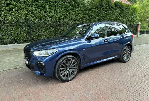 BMW 3.0 dAS xDrive30 AdBlue