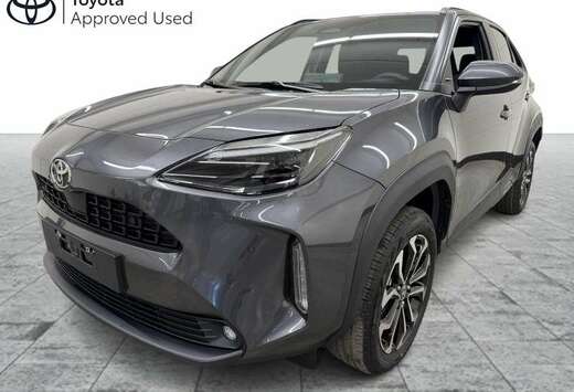 Toyota Executive + Safety + Winter Pack