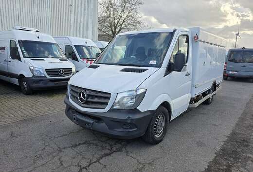 Mercedes-Benz 313 (Stock ID 52770)