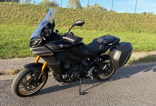 Tracer 9 GT
