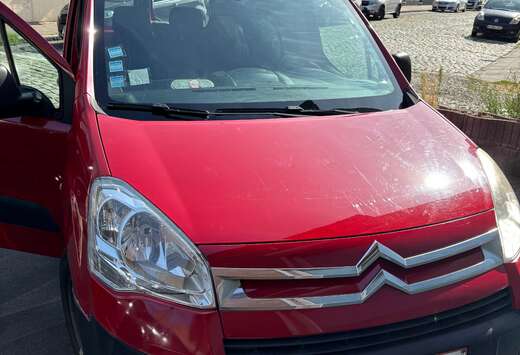 Citroen 1.9 SX Hayon-Achterklep