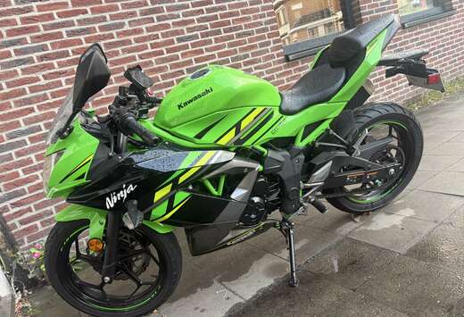 Type Kawasaki Ninja 125 Bouwjaar : Sportieve look,
