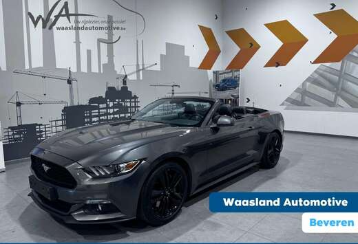 Ford 2.3i Ecoboost - Cabriolet - Topdeal