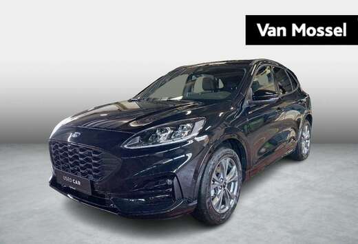 Ford FHEV ST-Line X - Pano - Driver Assist - Winterpa ...