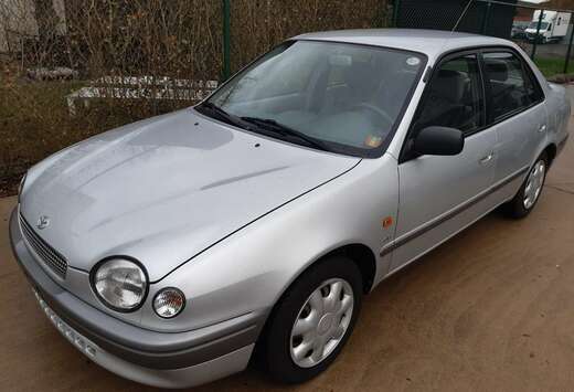 Toyota 2.0 Linea Terra