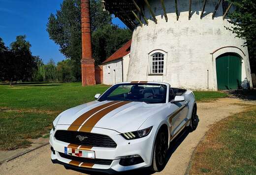 Ford Cabrio 2.3 Eco Boost