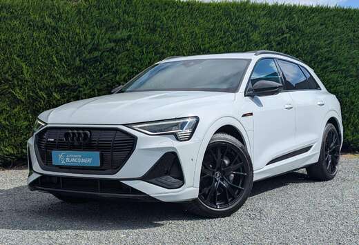 Audi (Q8) e-Tron - 2x s-line - opendak - lederen spor ...